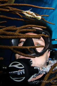 Self portrait with a file fish and black coral
d300 10-1... by George Ordenes 